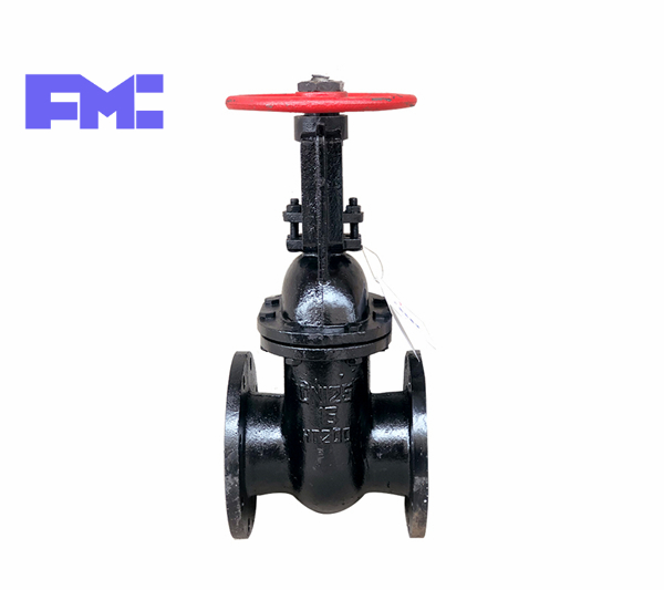 鑄鐵(tiě)明(míng)杆楔式法蘭閘閥